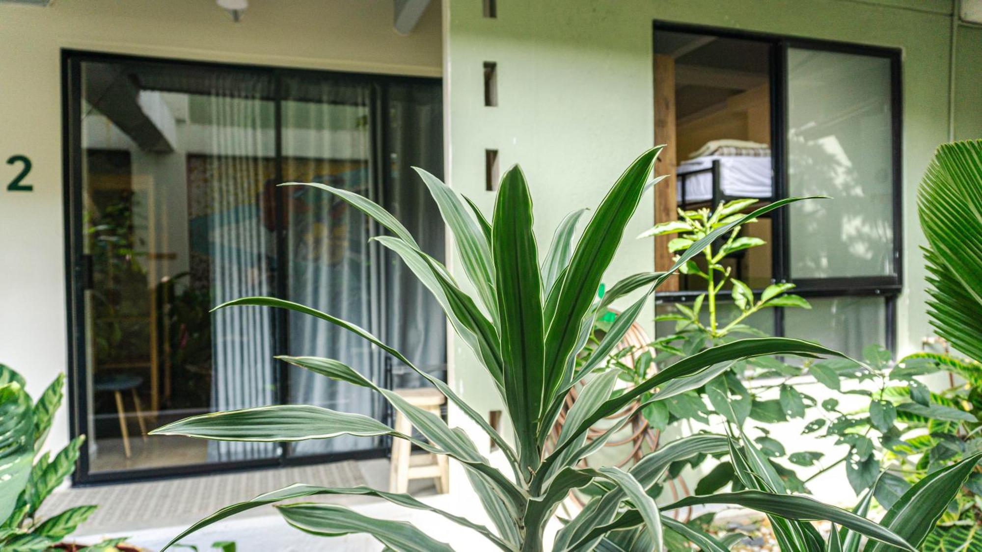 Bed and Breakfast Selva House Медельин Экстерьер фото